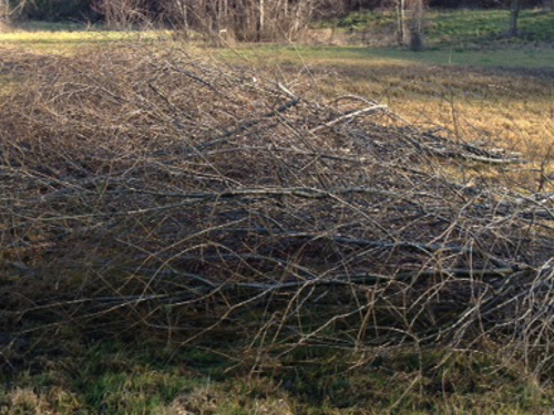 WeidenFutterFürZooMD