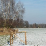 NABU-Barleben-Arbeitseinsatz-Haegebach-0001