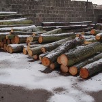 NABU-Barleben-Arbeitseinsatz-Haegebach-2222