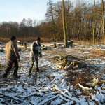 NABU-Barleben-Arbeitseinsatz-Haegebach-3383